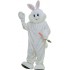 Easter Rabbit Bunny Mascot Costume Bunny Costume