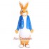 Peter Rabbit Bunny Mascot Costume