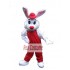 Easter Bunny / Rabbit Mascot Costume