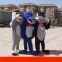 Seal Dolphin Shark Mascot Costume for Adult